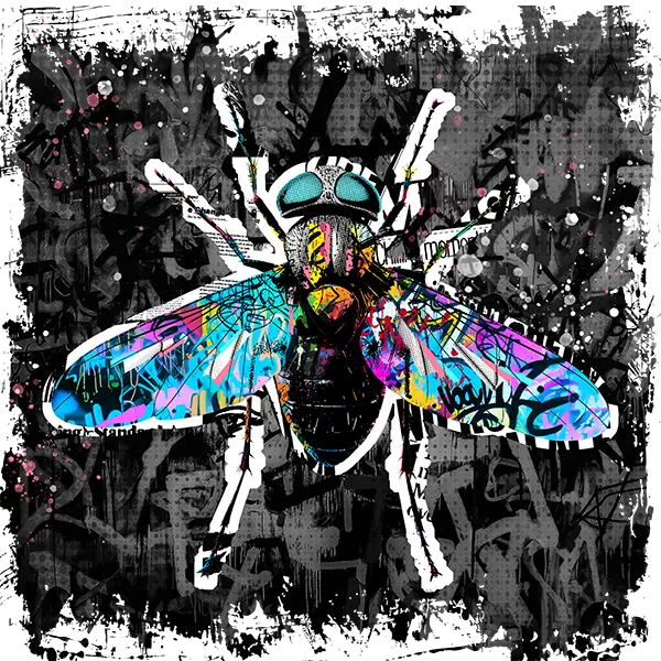 a fly viewed from above with multi-coloured pieces of graffiti overlaid on it